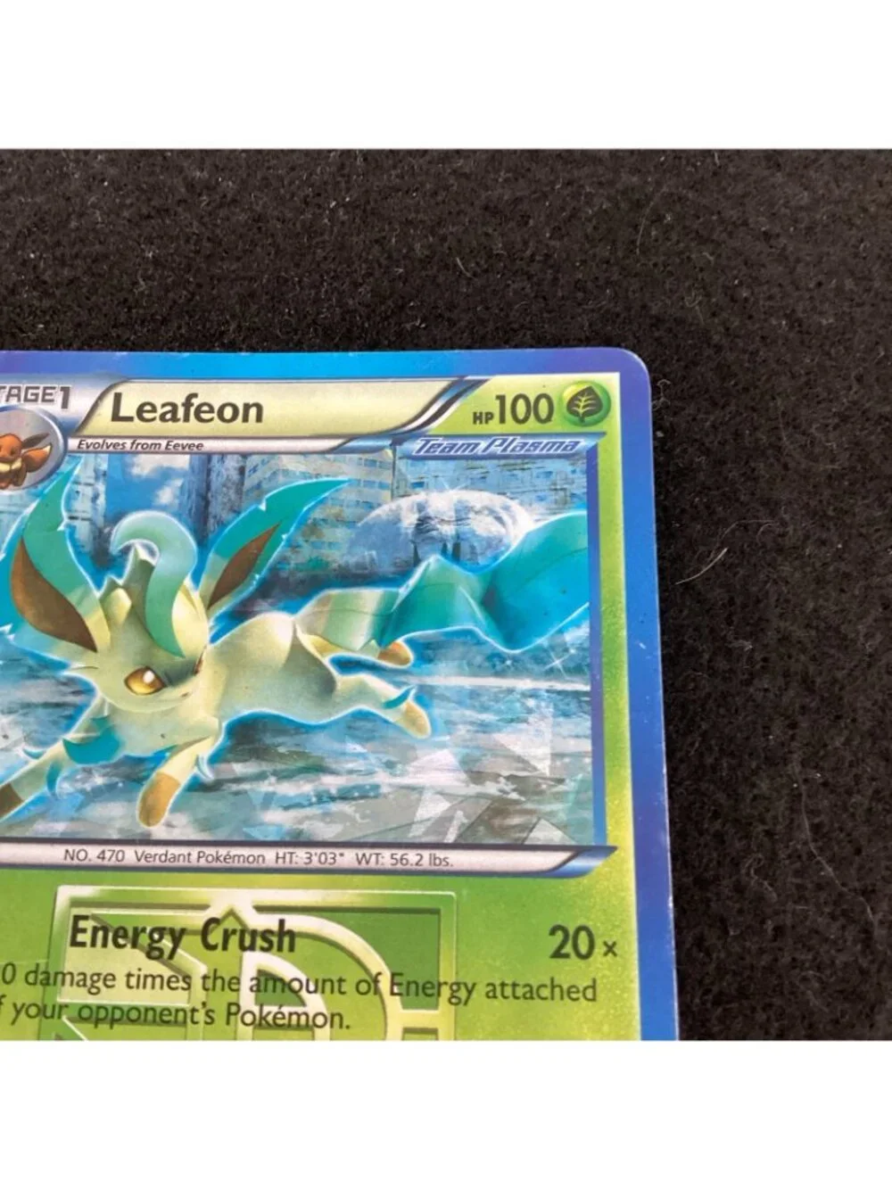 Leafeon Team Plasma Cracked Ice #11/116 Plasma Freeze Pokemon TCG Card 2013 VG